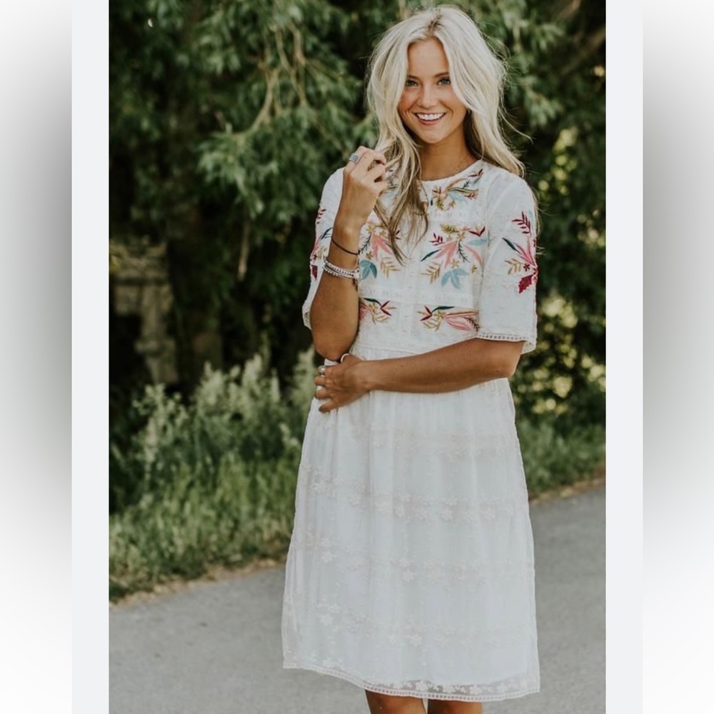 Roolee embroidered knee length lace dress